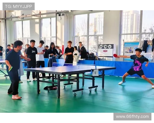 乒乓球团体赛：团队协作与个人技术的完美结合